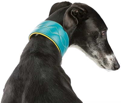 Trixie Halsband Hond Active Comfort Leer Petrol 24-31x5 cm