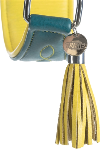 Trixie Halsband Hond Active Comfort Leer Petrol 24-31x5 cm