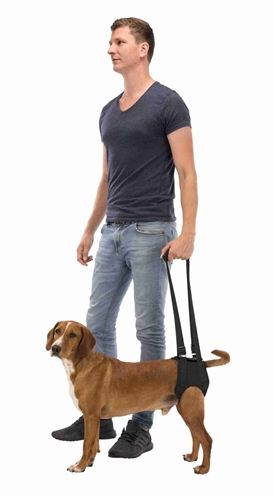 Trixie Loophulp Zwart 75-85 CM voor honden