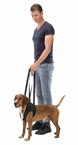 Trixie Loophulp Zwart 75-85 CM voor honden