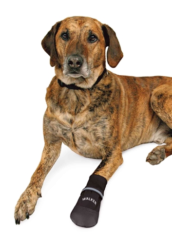 Trixie Pootbescherming Walker Care Comfort Zwart XXL 2 st
