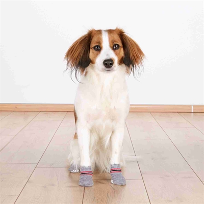 Trixie Hondensokken Anti-slip Grijs L-XL 3x2 ST
