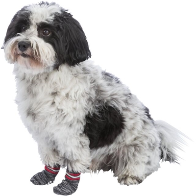 Trixie Hondensokken Anti-slip Grijs XL 3x2 ST