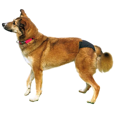 Trixie Loopheidsbroekje Zwart L 50-59 cm voor teefjes