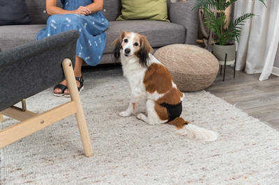 Trixie Loopheidsbroekje Zwart L 50-59 cm voor teefjes