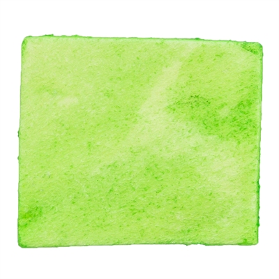 Trixie Denta Fun Spirulina Kauwchips 6x50 GR