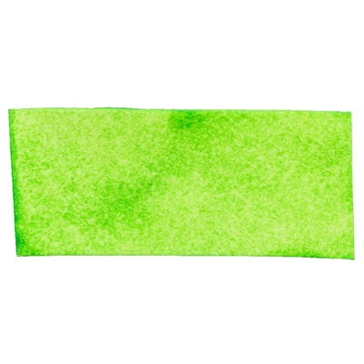 Trixie Denta Fun Spirulina Kauwchips 6x100 GR