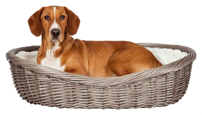 Trixie Mand Wilg Grijs 60x46x16 cm — Comfortabele plek voor je hond