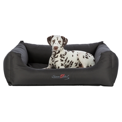 Trixie Hondenmand Samoa Vital Orthopedisch Zwart 65x50 cm — Comfortabel rustpunt voor je hond