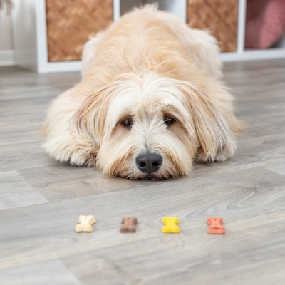 Trixie Cookie Snack Bones 2x1,3 KG - Hondensnacks in botvorm