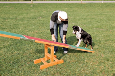 Trixie Agility Wip Hout 300x34x54 cm