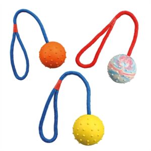 Trixie Natuurrubber Bal Aan Koord 30x6x6 CM 3 ST