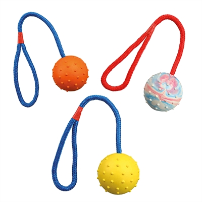 Trixie Natuurrubber Bal Aan Koord Assorti 30x6x6 CM 3 ST