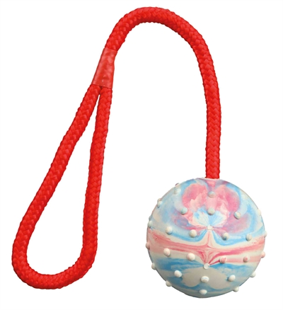 Trixie Natuurrubber Bal Aan Koord 30x6x6 CM 3 ST