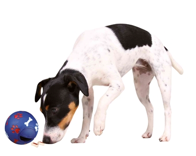Trixie Snackbal Kunststof Blauw 11x11x11 CM voor honden
