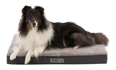 Trixie Vital Matras Bendson 80x60 cm — Comfortabele rustplek voor je hond