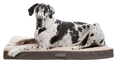 Trixie Vital Matras Bendson Orthopedisch 80x60 cm — Comfortabel rustpunt voor jouw hond