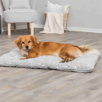 Trixie Ligmat Feather Zilver/Grijs 100x70 cm — Comfortabele plek voor je hond