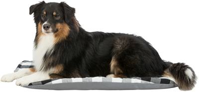 Trixie Kussen Scoopy Ovaal 54x35x6 cm — Comfortabele rustplek voor jouw hond