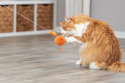 Trixie Kip Pluche Aan Elastisch Koord 20 CM 4 ST