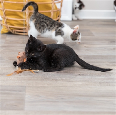 Trixie Speelhengel Muis met Veren 50 CM met Catnip 4 ST