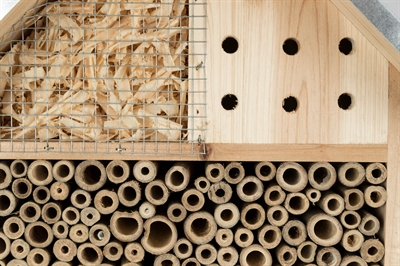 Trixie Insectenhotel Hout 29x16x49 cm voor tuininsecten