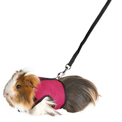 Trixie Softtuig met Riem voor Cavia 18-25 CM / 120 CM Assorti