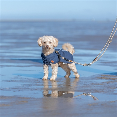 Trixie Be Nordic Regenjas Husum Blauw 55 cm voor honden