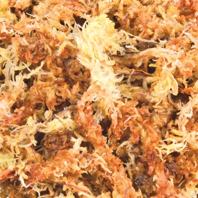 Trixie Reptiland Veenmos Terrariumsubstraat 4x4,5 Ltr