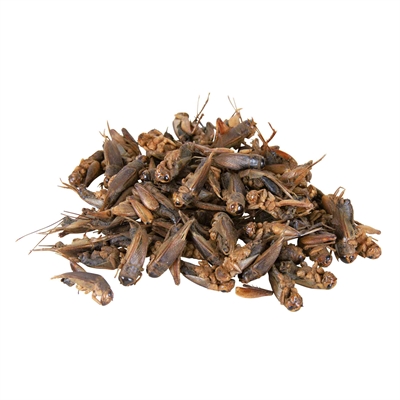Trixie Reptiland Gedroogde Krekels 6x25 GR voor Reptielen