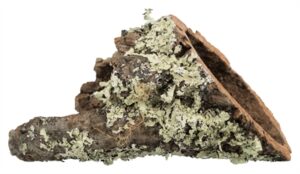 Trixie Kurktunnel XS-S 20x6x6 cm 10 stuks