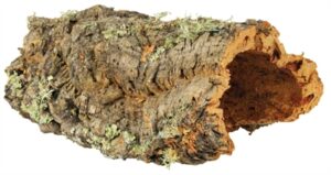 Trixie Reptiland Kurkplaat L Tot 55 CM 10 ST