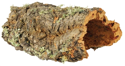 Trixie Reptiland Kurkplaat L Tot 55 CM 10 ST