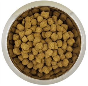 Yourdog Koningspoedel Senior Droogvoer 12 KG