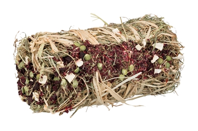 Trixie Hooibaal Met Rode Biet En Pastinaak 18x10x10 CM 200 GR