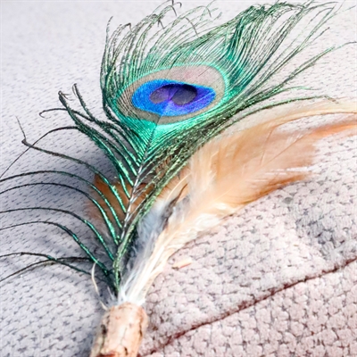 Croci Euphoria Kattenhengel Matatabi met Pauwenveer 12 CM