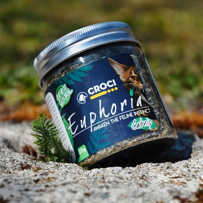 Croci Euphoria Kattenkruid Pot 25 GR