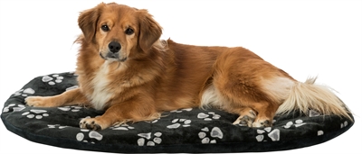 Trixie Hondenkussen Jimmy Ovaal 44x31 cm — Comfortabele plek voor jouw hond