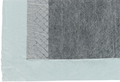 Trixie Puppypads Nappy Koolstof 60x60 cm 10 st