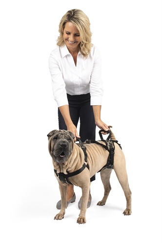 Solvit Petsafe Carelift Tuig Medium voor Honden