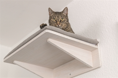 Trixie Ligplateau Met Kussen 50x36,5x17,5 CM voor Muurlandschap