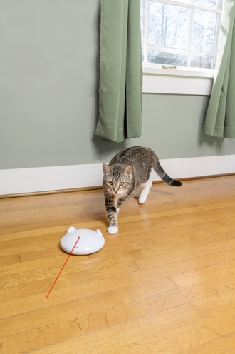 Petsafe Zip Kattenspeelgoed met Laserstraal