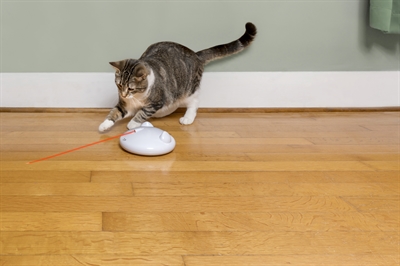 Petsafe Zip Kattenspeelgoed met Laserstraal