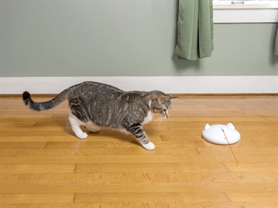 Petsafe Zip Kattenspeelgoed met Laserstraal