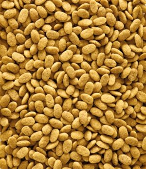 Nutribird P15 Original Onderhoudsvoeder 3 KG