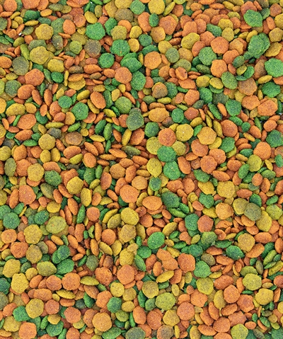 Nutribird G14 Tropical Onderhoudsvoeder 1 KG voor grote parkieten