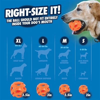 Chuckit Breathe Right Fetch Bal Oranje Medium 2 Stuks