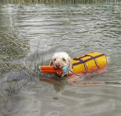 Chuckit Amphibious Bumper 4x4x18 CM - Apporteerspeelgoed voor honden