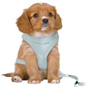 Trixie Puppy Softtuig Met Riem Mintgroen 36-50 cm / 2 m