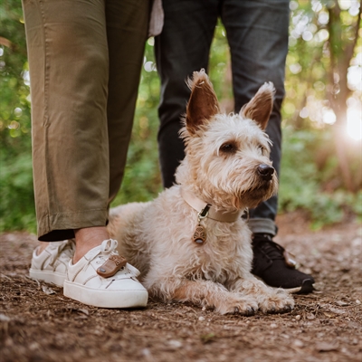 Tickless Eco Teek en Vlo Afweer voor Mensen Bruin